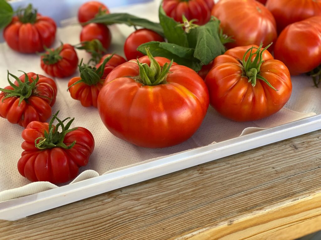 Tomatoes from Our Garden